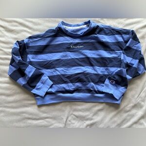Champion Cropped Long Sleeve Sweatshirt – Blue Striped